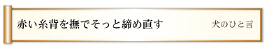 赤い糸背を撫でそっと締め直す