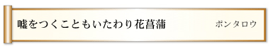 嘘をつくこともいたわり花菖蒲