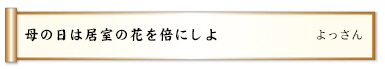 母の日は居室の花を倍にしよ