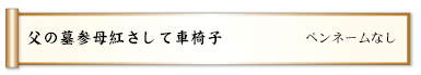 父の墓参母紅さして車椅子