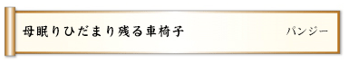 母眠りひだまり残る車椅子