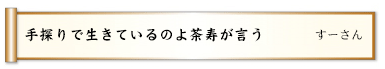 手探りで生きているのよ茶寿が言う