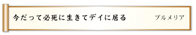 今だって必死に生きてデイに居る