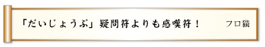 「だいじょうぶ」疑問符よりも感嘆符！