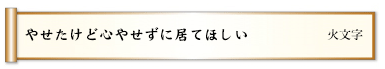 置物のように縁側で日向ぼこ