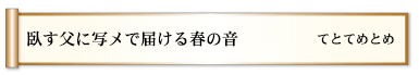 臥す父に写メで届ける春の音