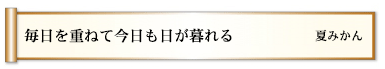 毎日を重ねて今日も日が暮れる