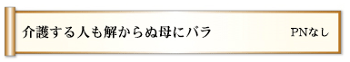 介護する人も解からぬ母にバラ