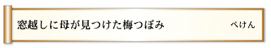 窓越しに母が見つけた梅つぼみ