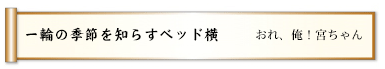 一輪の季節を知らすベッド横