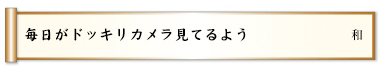 毎日がドッキリカメラ見てるよう