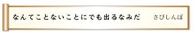 なんてことないことにでも出るなみだ