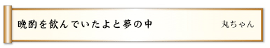 晩酌を飲んでいたよと夢の中