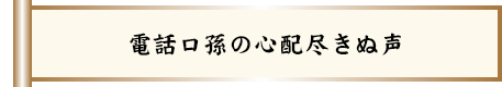 電話口孫の心配尽きぬ声