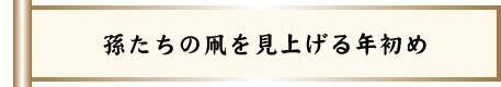 孫たちの凧を見上げる年初め